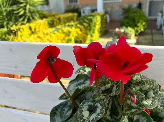 Ferienhaus Demetra Sperlonga