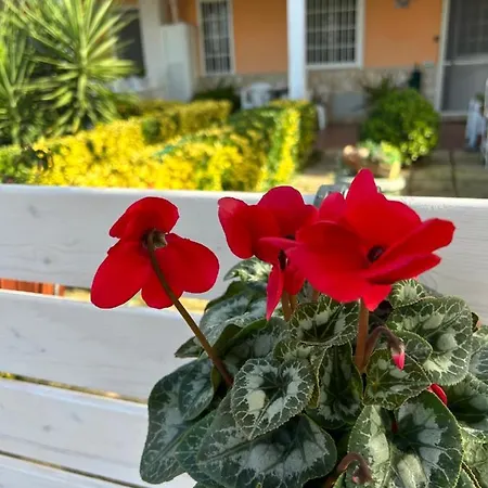 Nyaraló Demetra Sperlonga
