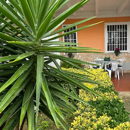 Demetra Casa vacanze Sperlonga